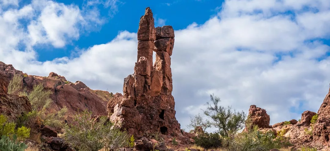 McDowell Sonoran