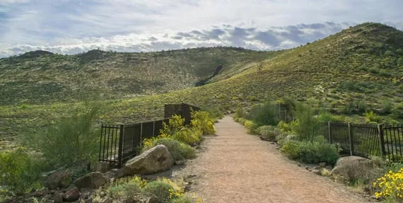 Thunderbird Conservation Park