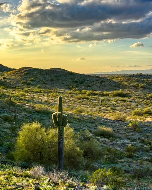 South Mountain Park