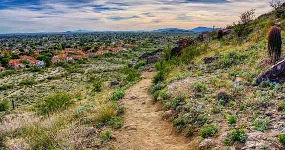 South Mountain Park and Preserve