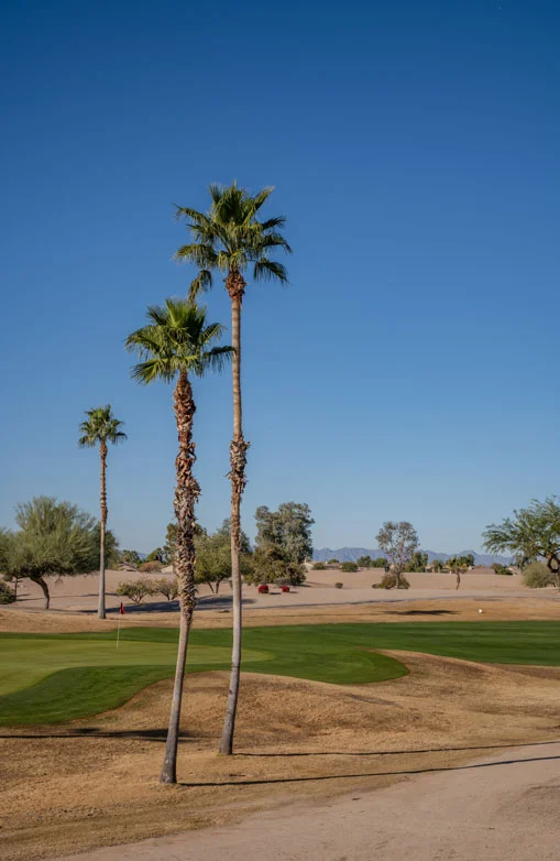 Chandler Arizona