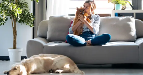 Vet Program For Relapse