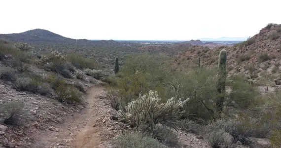Hiking at Skyline Regional Park