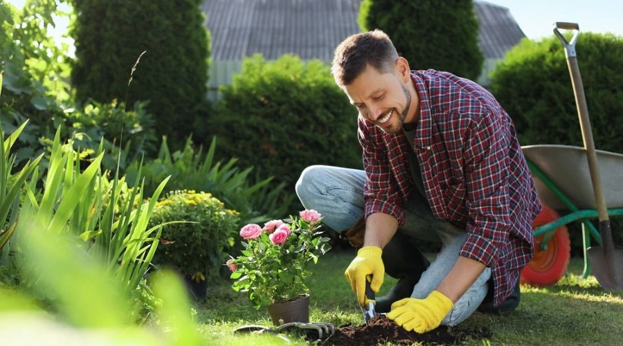 Healthy and Positive Activities